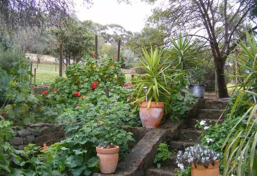 Aamiaismajoitus (B&B) Trevalia Accommodation