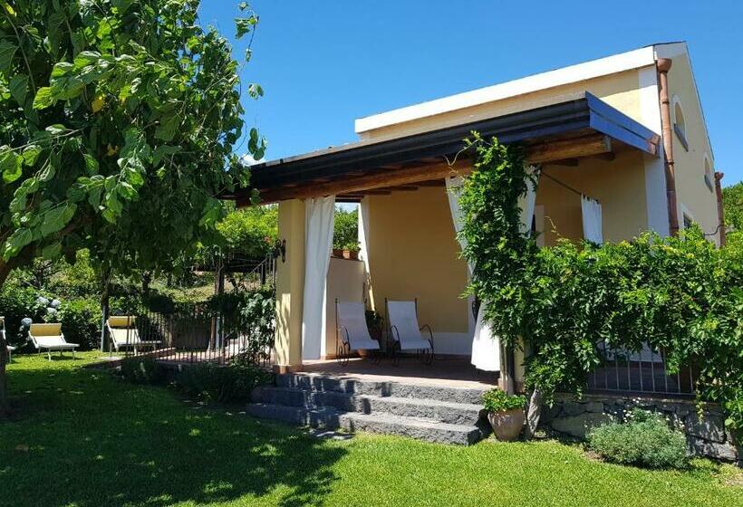 فندق Agriturismo Le Case Di Civi