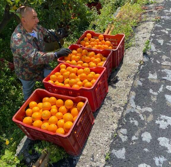 فندق Agriturismo Le Case Di Civi