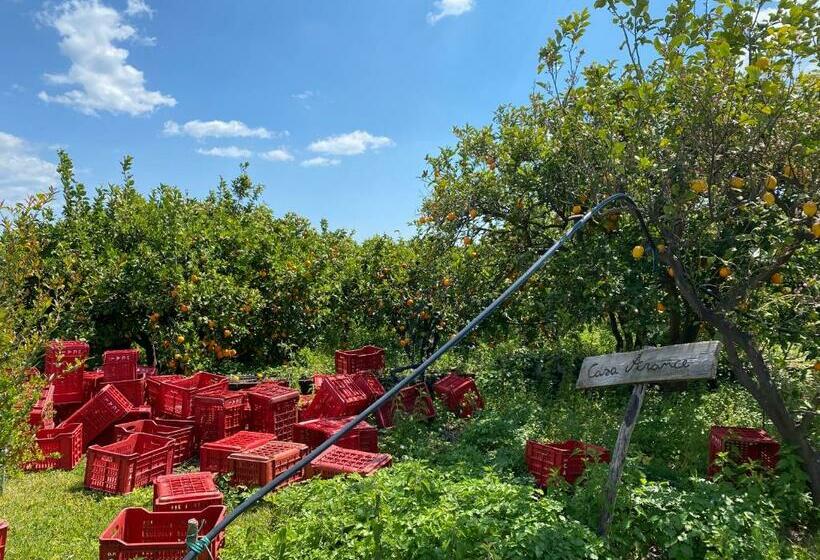 فندق Agriturismo Le Case Di Civi