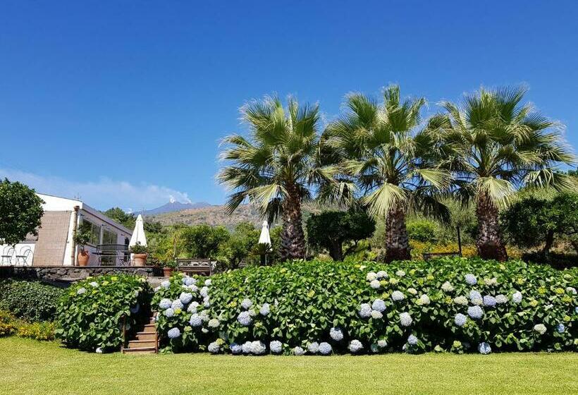 فندق Agriturismo Le Case Di Civi