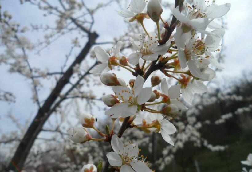 호텔 Locanda Delle Noci