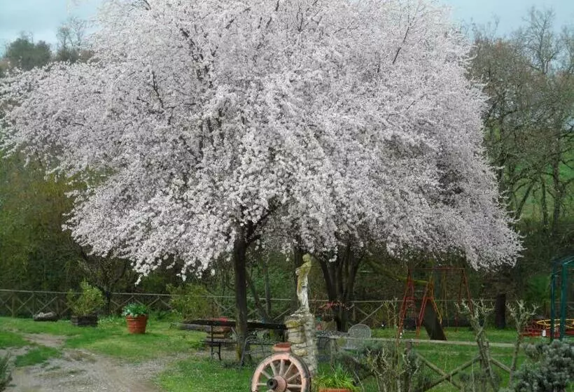 ホテル Locanda Delle Noci