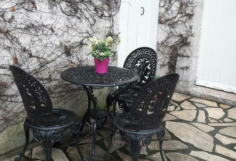 بنسيون La Vigne Vierge