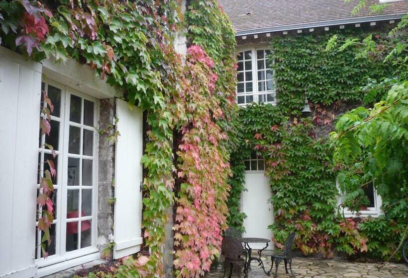 بنسيون La Vigne Vierge