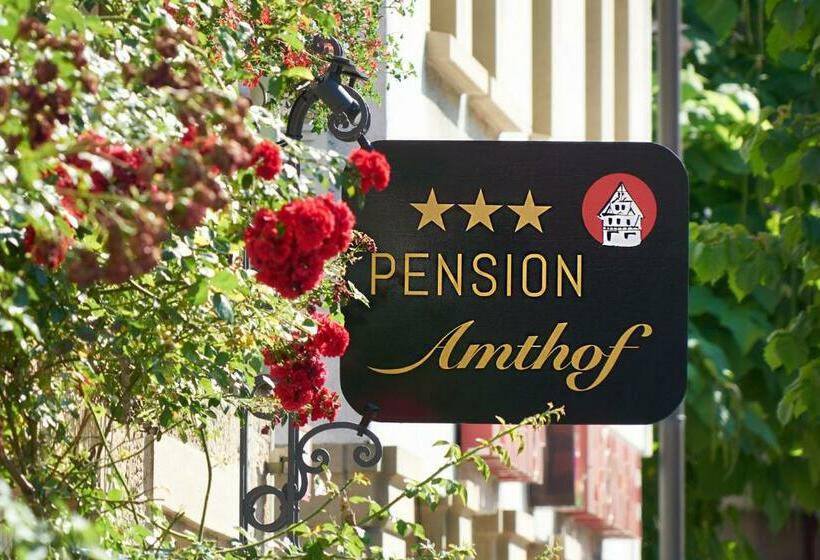 Pension Amthof