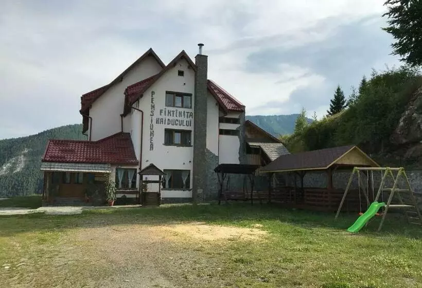 Pensiunea Fantanita Haiducului