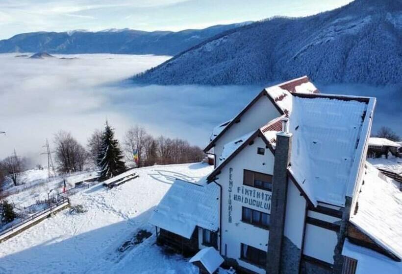 Pensiunea Fantanita Haiducului