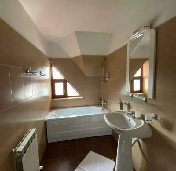 Pensiunea Fantanita Haiducului