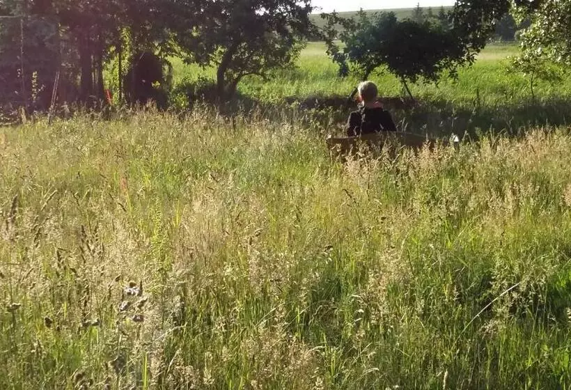 Aamiaismajoitus (B&B) Altes Pfarrhaus