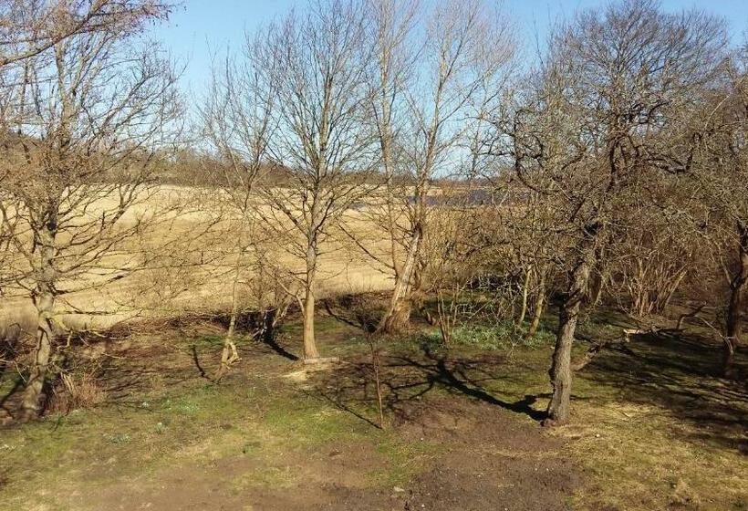 ベッドアンドブレックファースト Altes Pfarrhaus