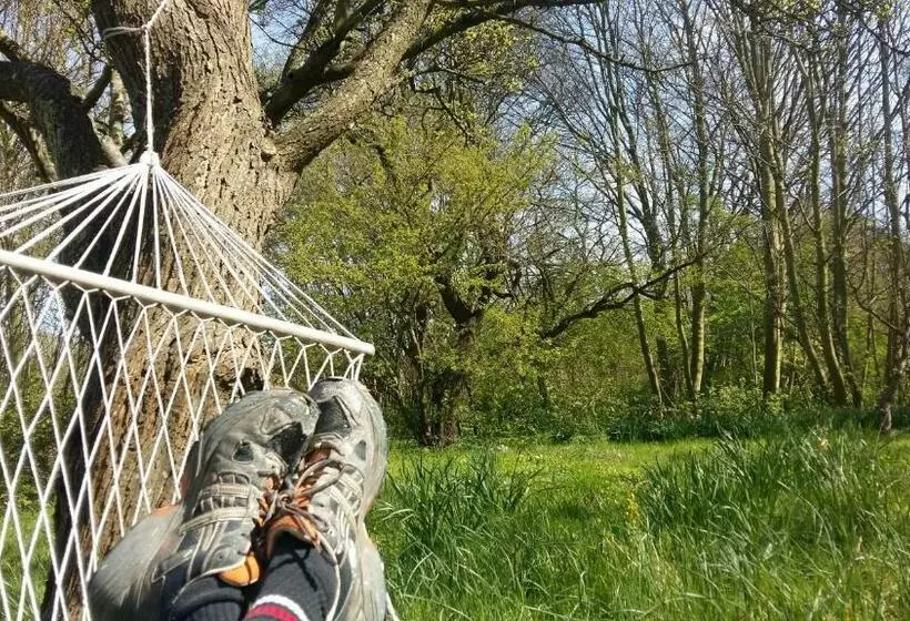 Aamiaismajoitus (B&B) Altes Pfarrhaus