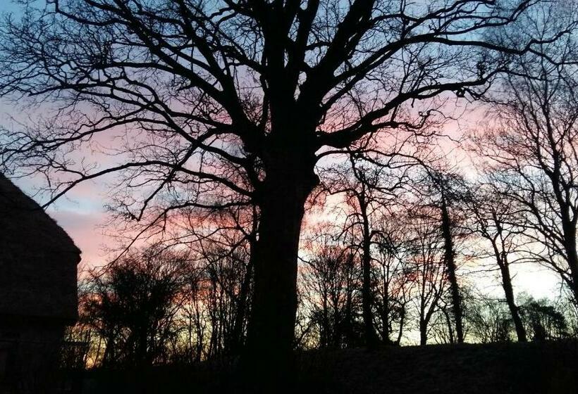 ベッドアンドブレックファースト Altes Pfarrhaus