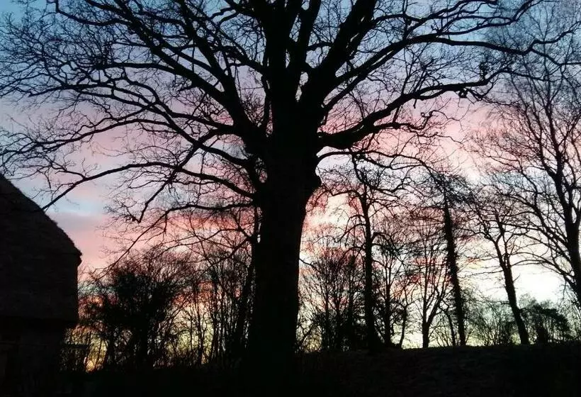 Aamiaismajoitus (B&B) Altes Pfarrhaus