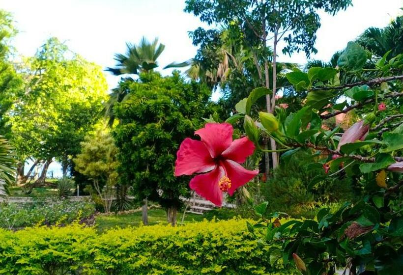 Bed and Breakfast Ancelle Cristo Re