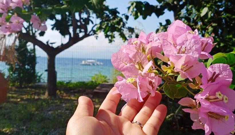 Bed and Breakfast Ancelle Cristo Re