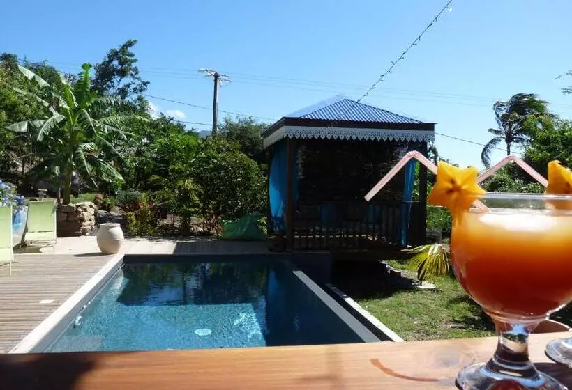 تختخواب و صبحانه Bungalow La Tortue Bleue