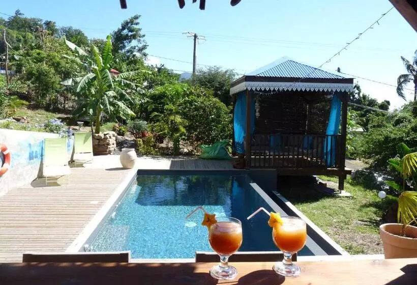 تختخواب و صبحانه Bungalow La Tortue Bleue