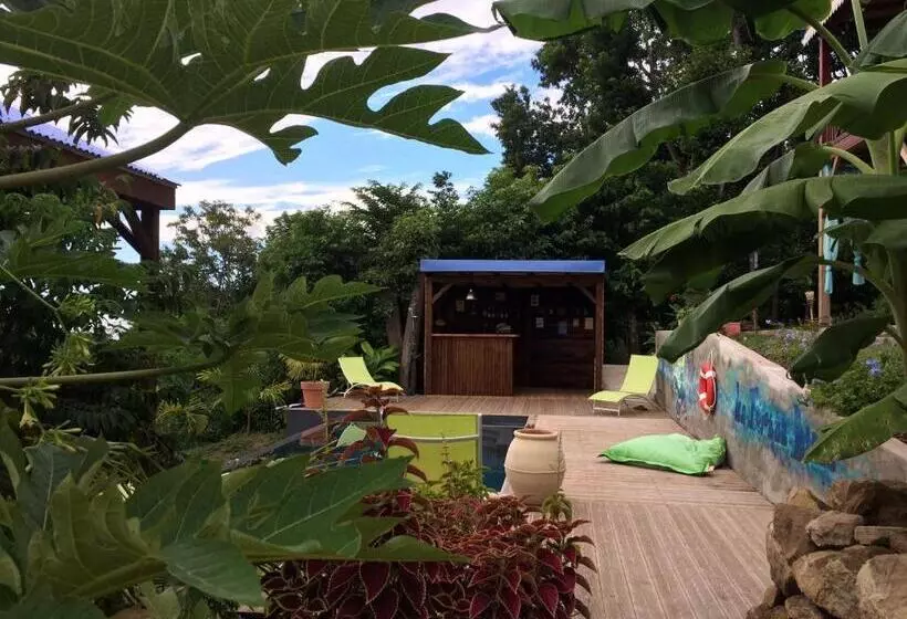 تختخواب و صبحانه Bungalow La Tortue Bleue