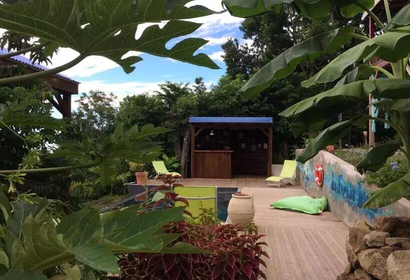 تختخواب و صبحانه Bungalow La Tortue Bleue