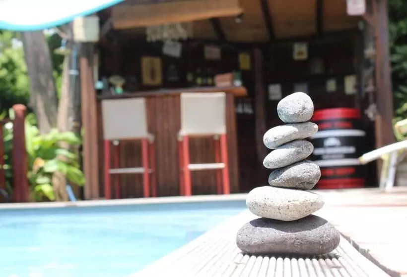 تختخواب و صبحانه Bungalow La Tortue Bleue