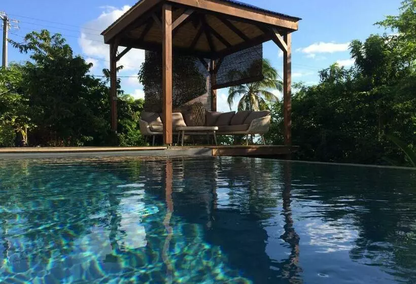 تختخواب و صبحانه Bungalow La Tortue Bleue