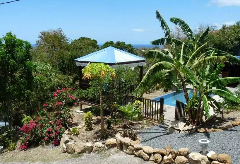 تختخواب و صبحانه Bungalow La Tortue Bleue