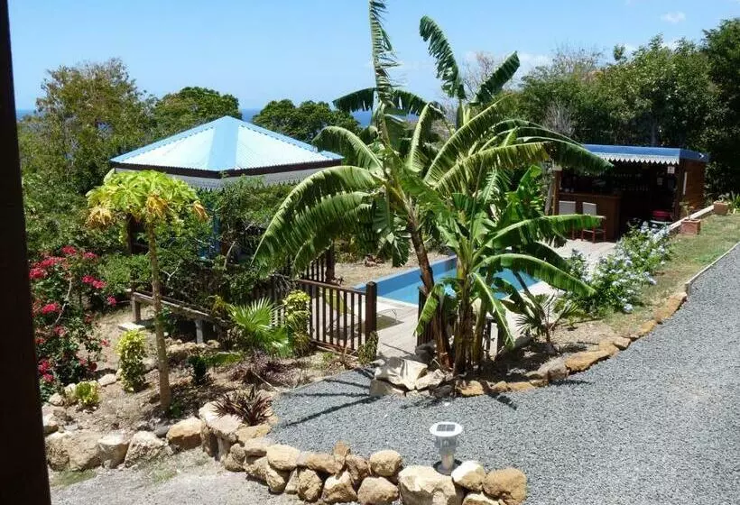 تختخواب و صبحانه Bungalow La Tortue Bleue