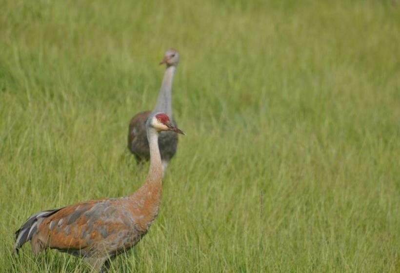 Bed and Breakfast Homerhome