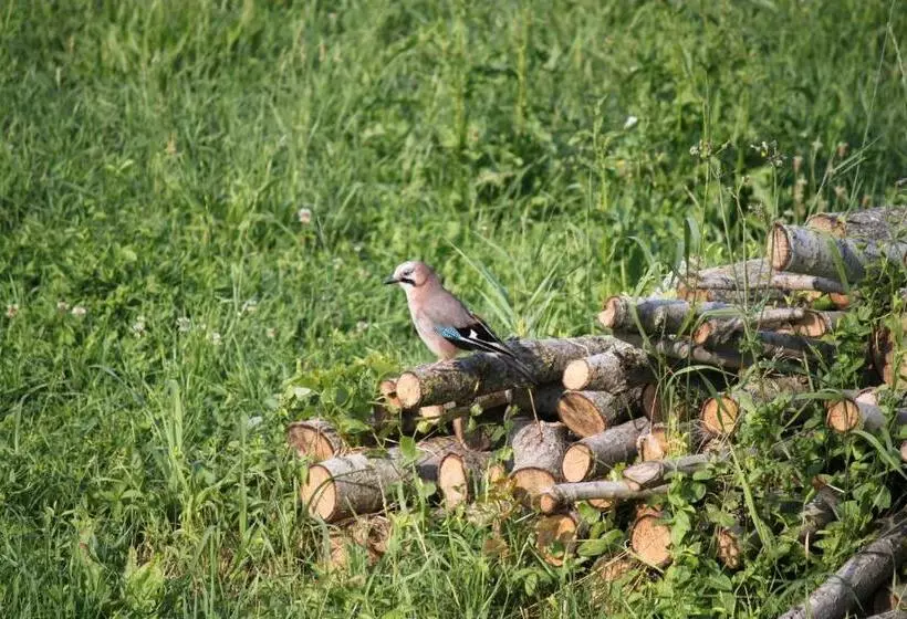 Aamiaismajoitus (B&B) La Casa Dei Gatti