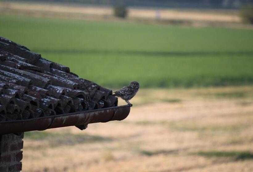 צימר La Casa Dei Gatti