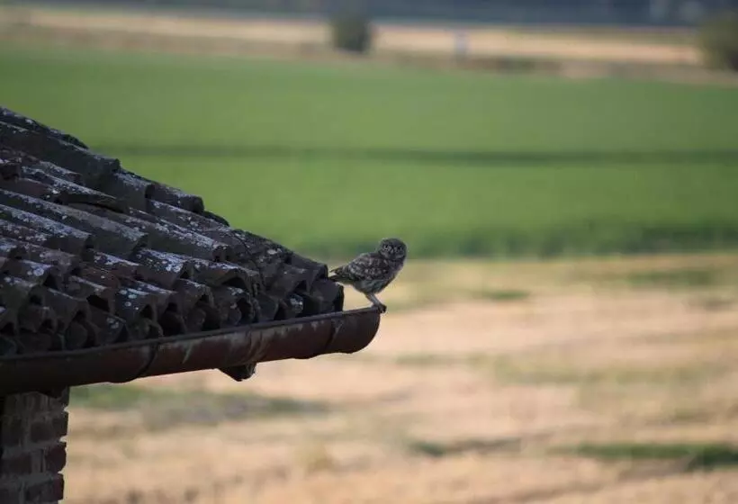 Aamiaismajoitus (B&B) La Casa Dei Gatti