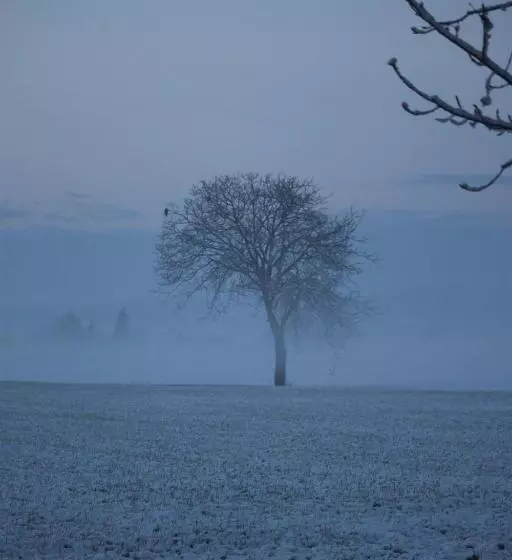 Aamiaismajoitus (B&B) La Casa Dei Gatti