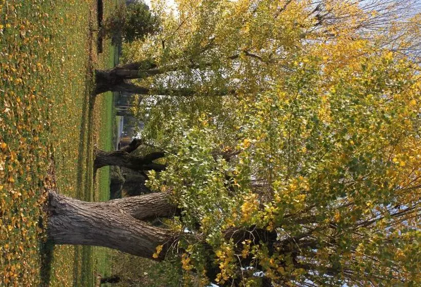 Aamiaismajoitus (B&B) La Casa Dei Gatti