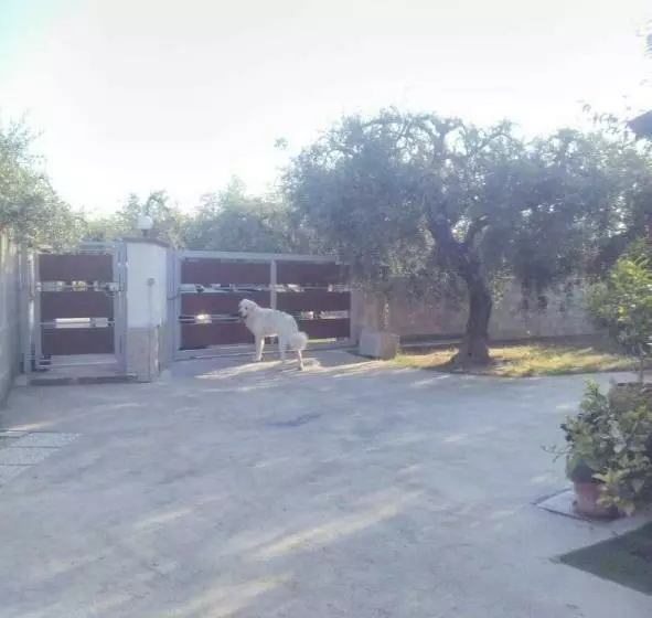 Aamiaismajoitus (B&B) La Casetta