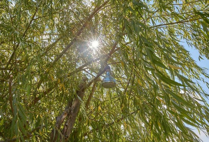 צימר Podere San Giuseppe