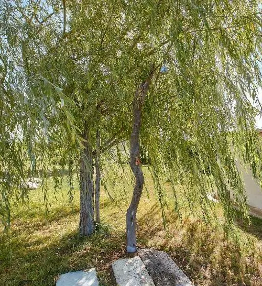 Aamiaismajoitus (B&B) Podere San Giuseppe