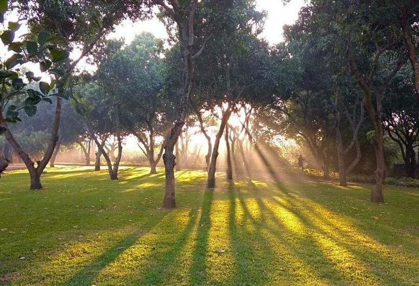 בית מלון כפרי Casa De Las Luciérnagas
