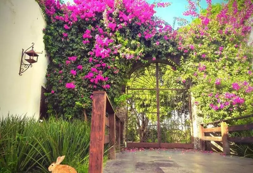 ホテル Casa De Las Luciérnagas