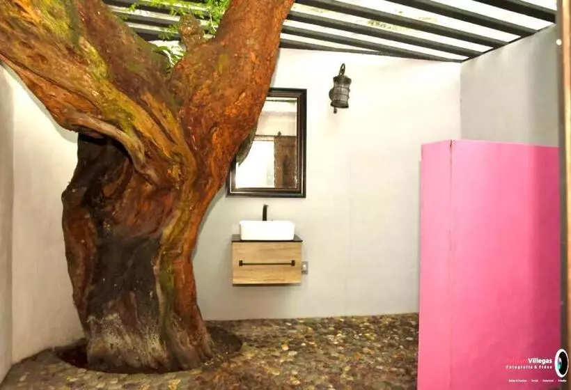 ホテル Casa De Las Luciérnagas