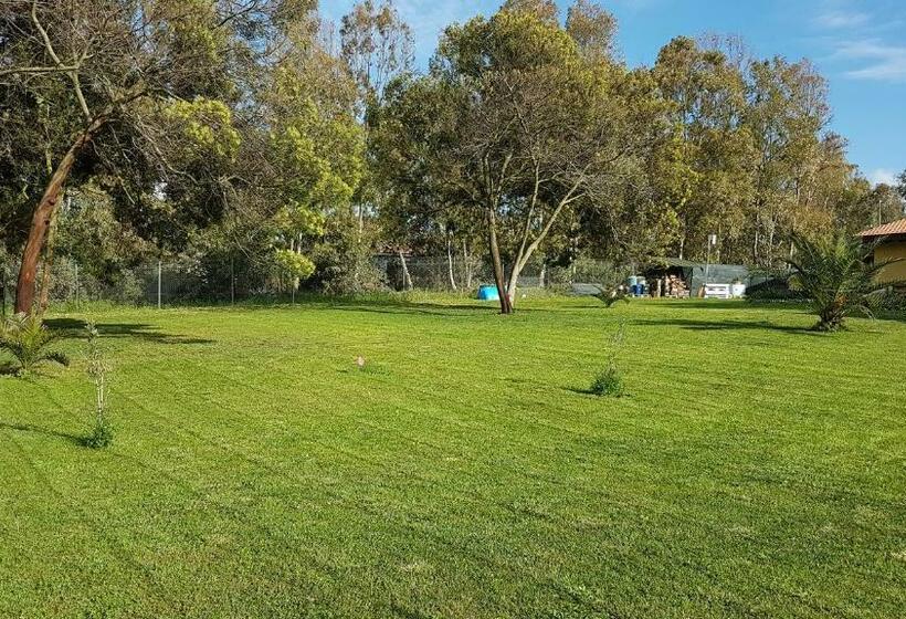 Пансион Bed & Breakfast Pintadera