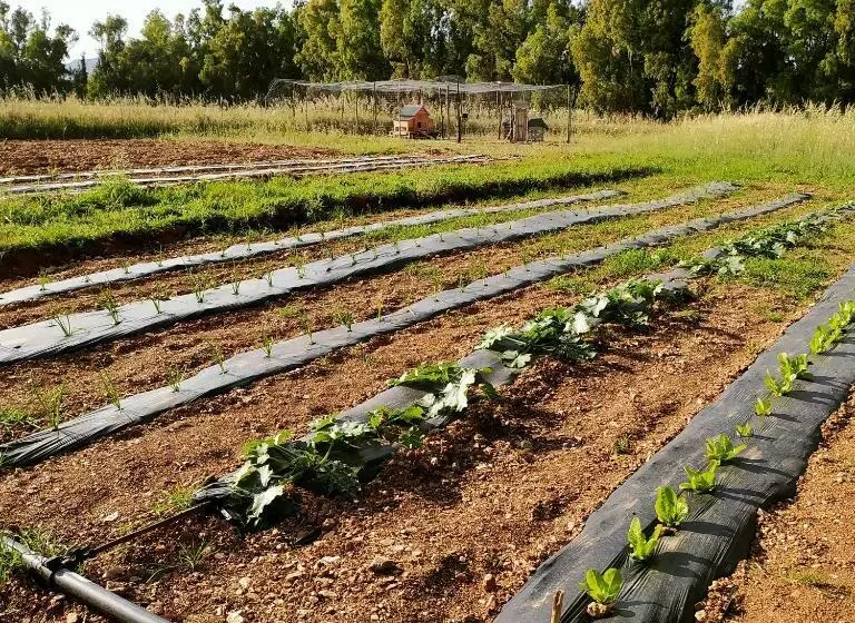 Majatalo Bed & Breakfast Pintadera