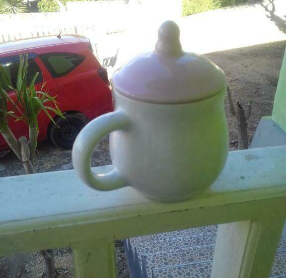 بنسيون Green House Bira