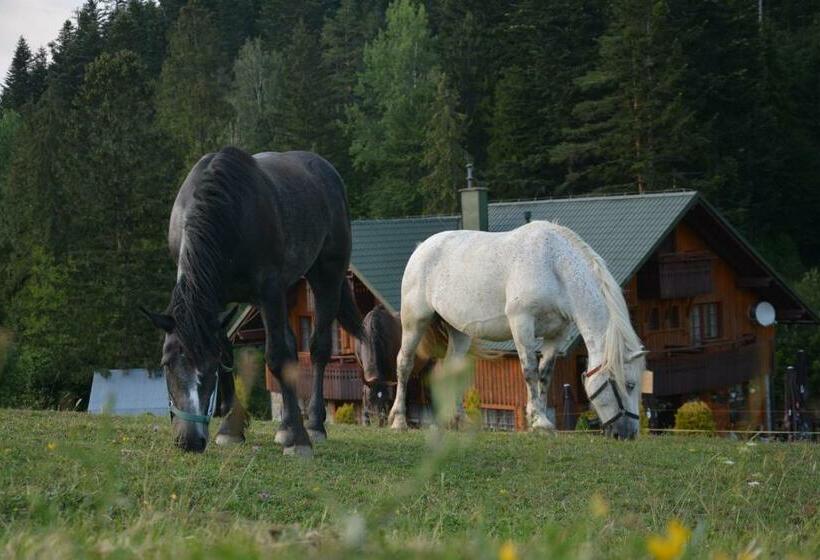 بنسيون Penzión Dinda