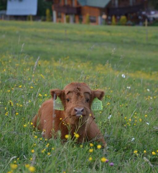 بنسيون Penzión Dinda