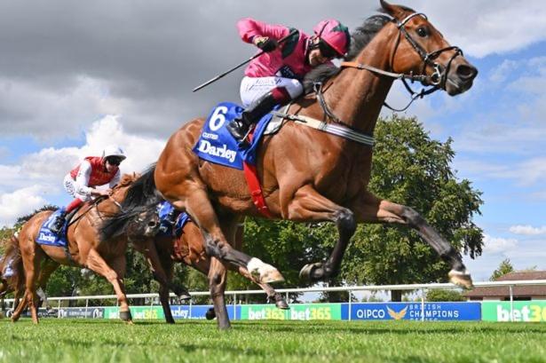 פנסיון The Annexe At Asbit Lodge