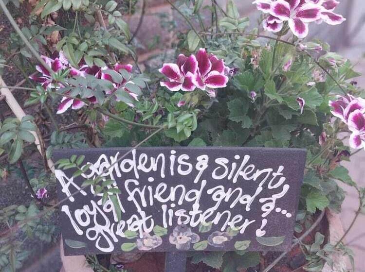 פנסיון Wisteria Lane Guesthouse