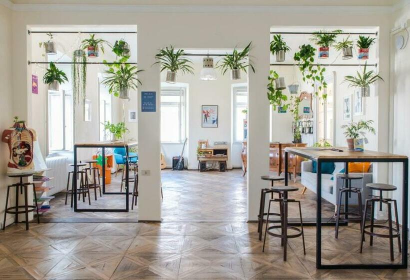 هاستل Controvento