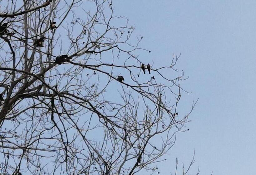 צימר Bell Park Self Catering