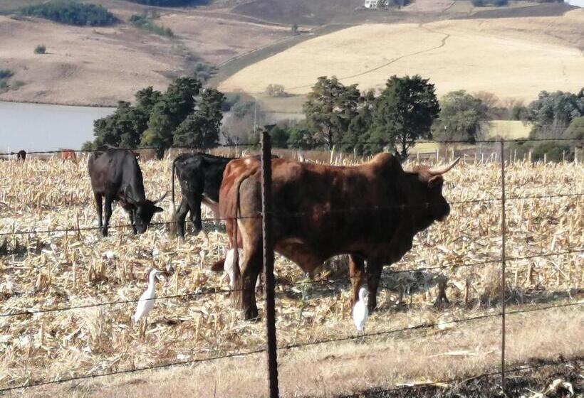 צימר Bell Park Self Catering